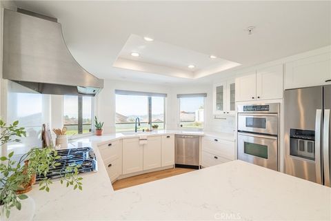 Tiny photo for 27 Burriana, San Clemente, CA 92672 (MLS # WS25215159)