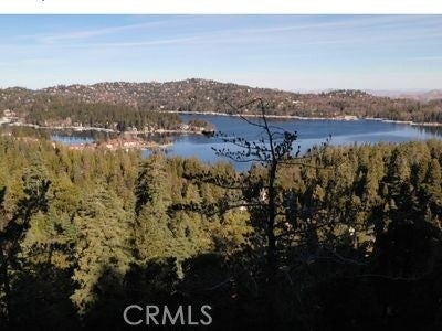 ADDRESS PRIVATE, SKYFOREST, CA 92385 - Image 5c5d8eba8908e68b71b29965deb6e1ec/52201360