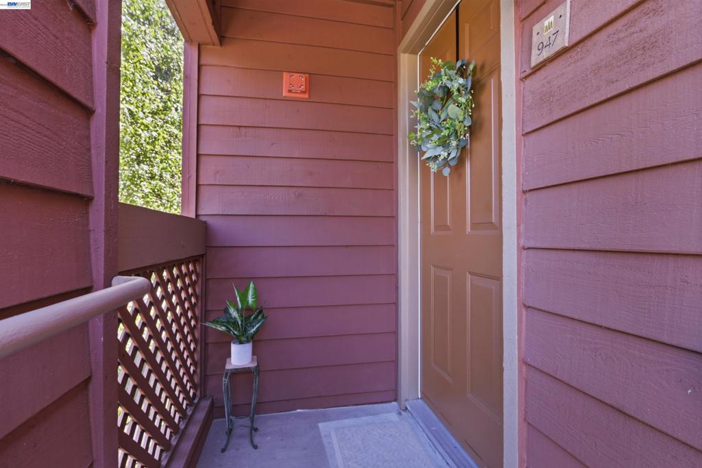 947 Catkin Court