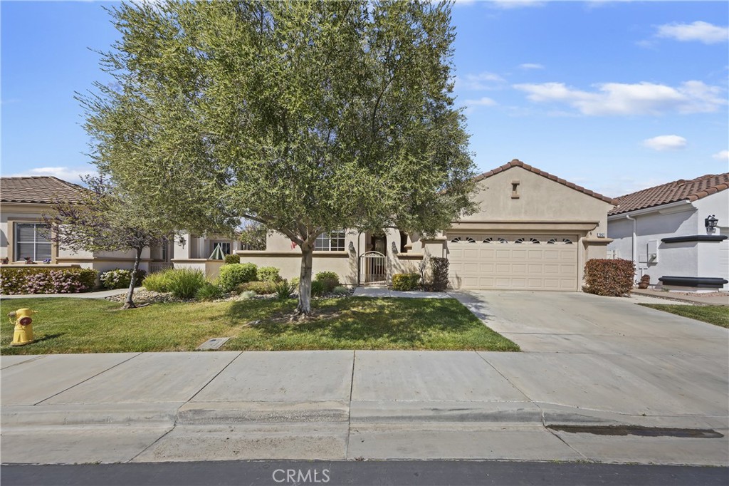 29427 winding brook drive