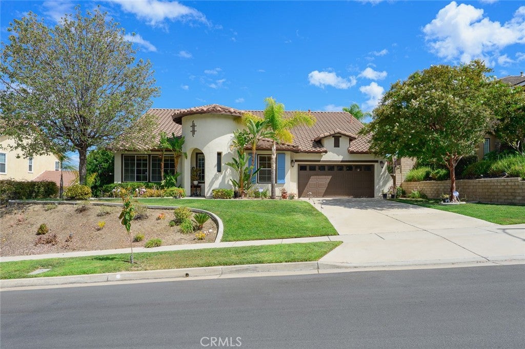 3165 Forest View