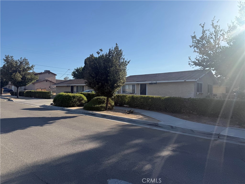 16503 Smoke Tree