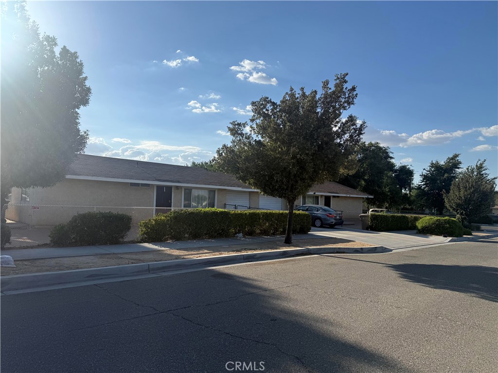16503 Smoke Tree