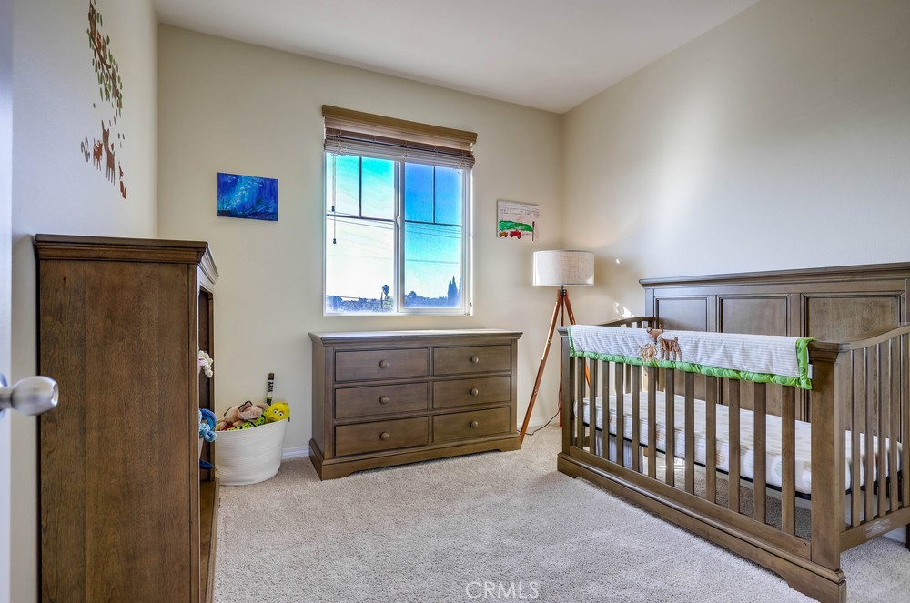 Citrus Park - Residential