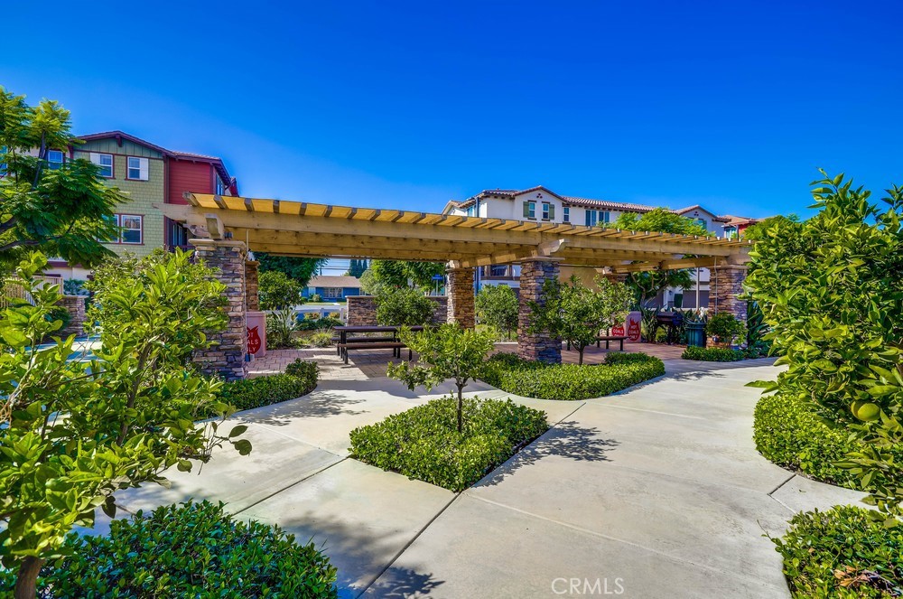 Citrus Park - Residential