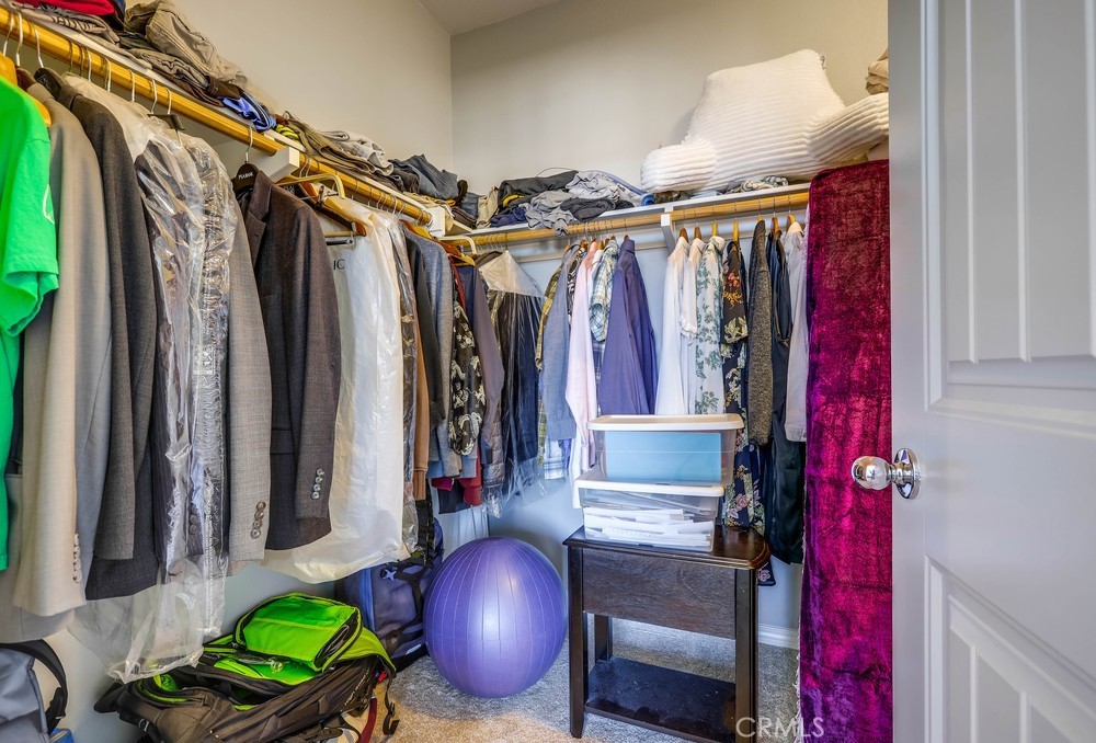 Citrus Park - Residential