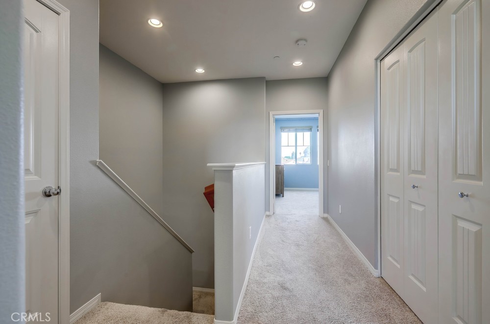 Citrus Park - Residential