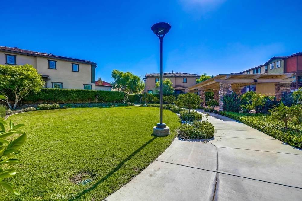 Citrus Park - Residential