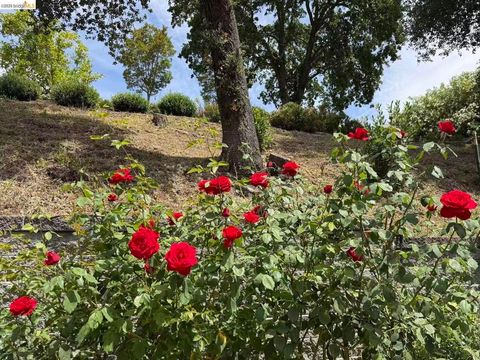 Photo of 3560 old mountain dr DR, Lafayette, CA 94549 (MLS # 41139810)
