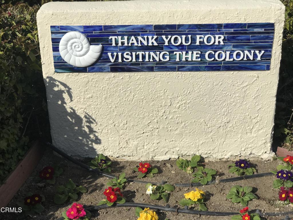 The Colony - 2923 - Residential