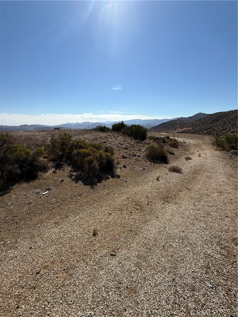 Custom Acton (CACTO) - Land