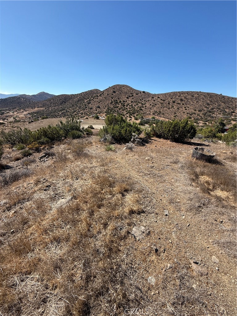 Custom Acton (CACTO) - Land