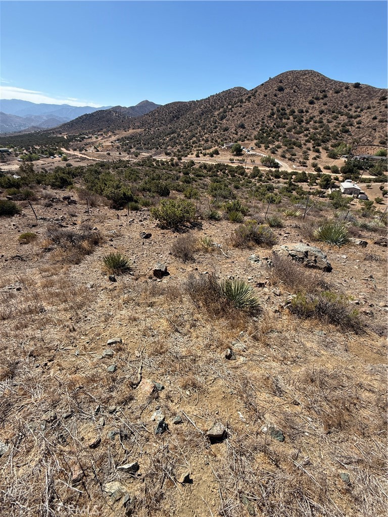 Custom Acton (CACTO) - Land