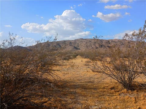 Photo of 12963 Sunset Drive, Lucerne Valley, CA 92356 (MLS # HD26153394)
