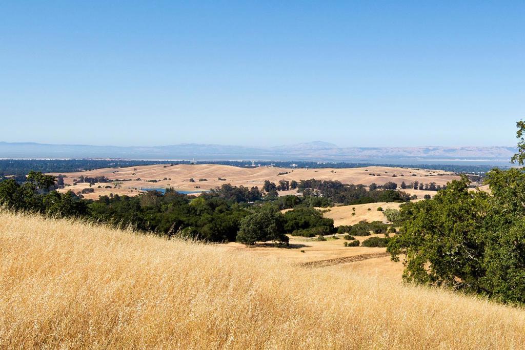 THIS INCREDIBLE PARCEL IS PART OF THE HEWLETT SUBDIVISION....... 360 DEGREE VIEWS OF THE BAY FROM SAN FRANCISCO TO THE SOUTH BAY AND THE WESTERN HILLS. BUILD A DREAM ESTATE ON THIS APPRPOXIMATLY 5.4 ACRE PROPERTY. LEA AND BRAZE SURVEY AVAILABE AND ALSO A FEASIBILITY STUDY FOR SITE DEVELOPMENT PALO ALTO SCHOOLS!!