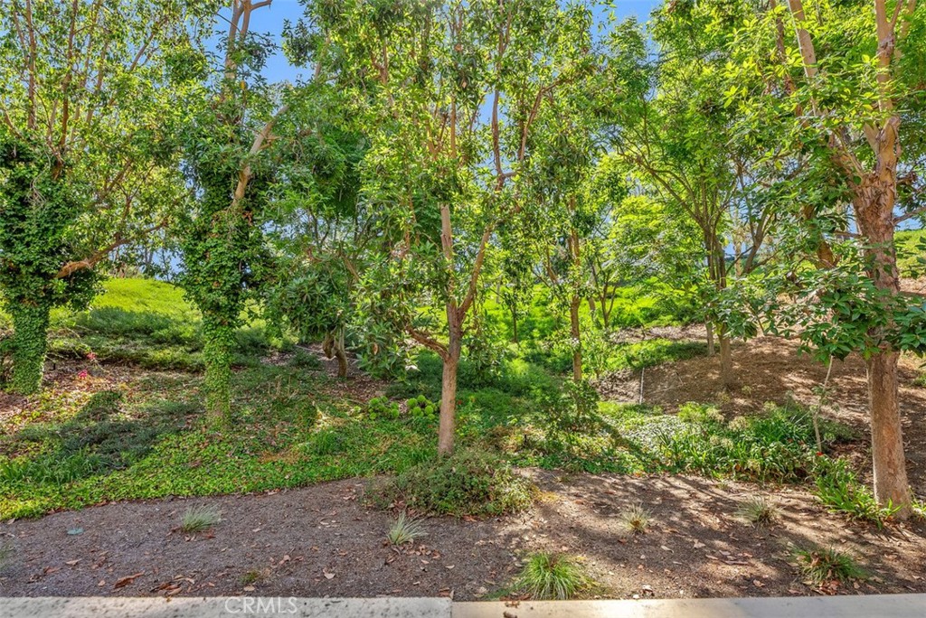 Palm Court (LHC) - Residential Lease