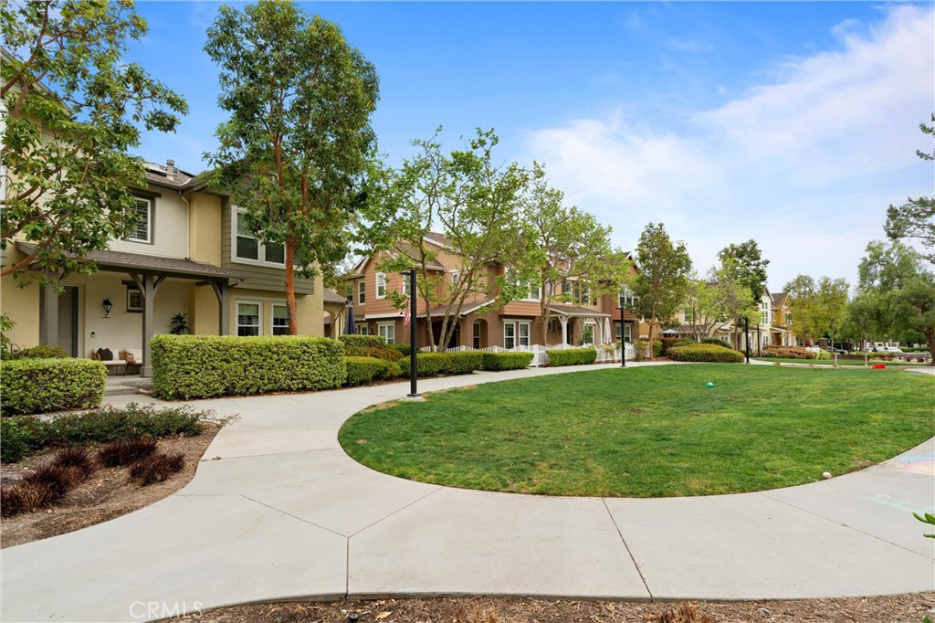 5 Orange Blossom Circle