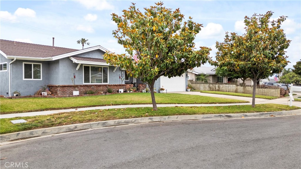7381 Onyx Avenue