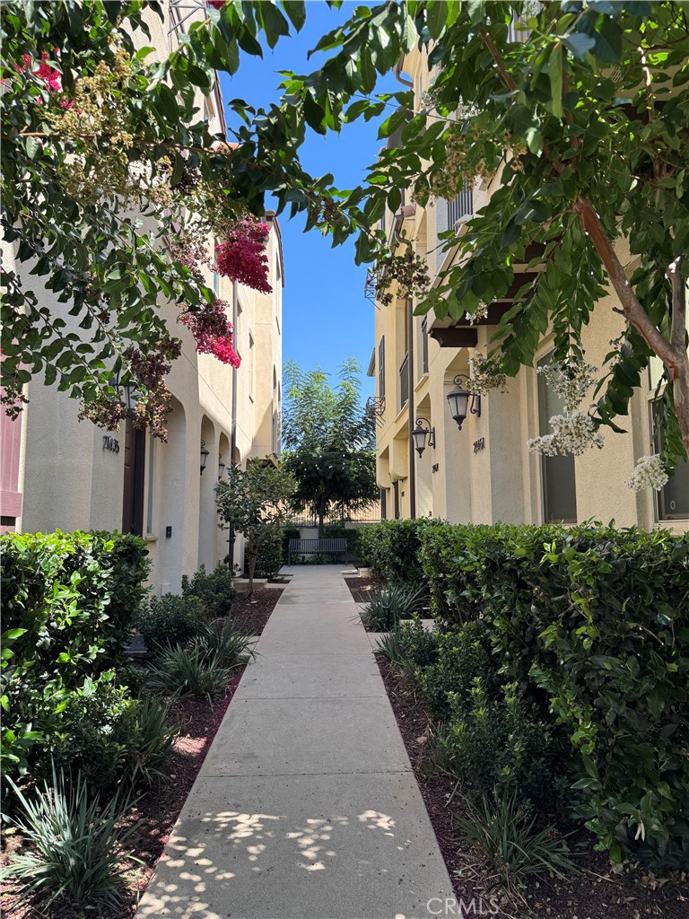21481 Dahlia Court