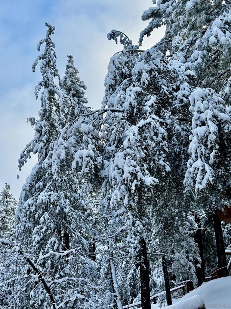 Out Of Area - Residential