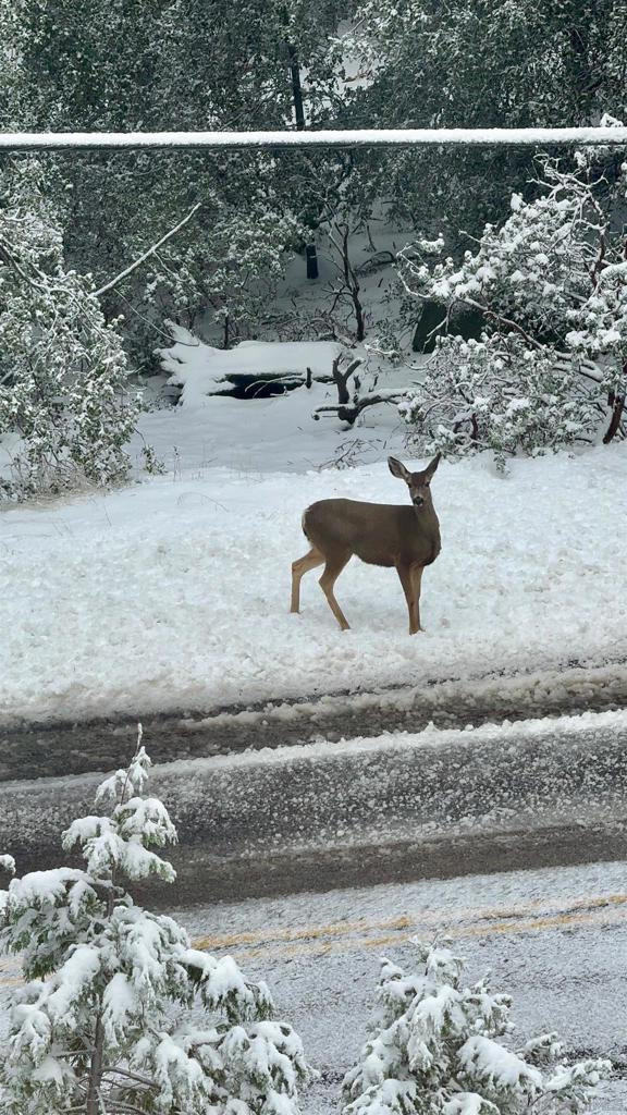 Out Of Area - Residential