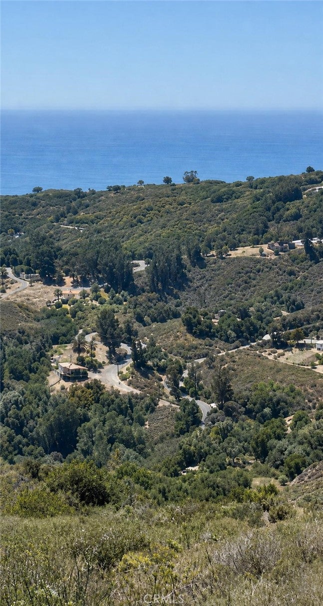 46190 Pfeiffer Ridge