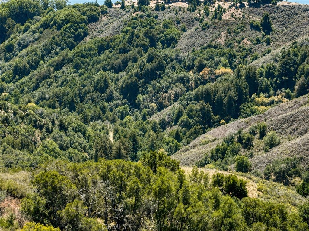 46190 Pfeiffer Ridge
