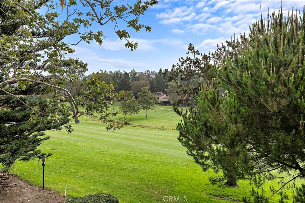 31594 W Nine, Laguna Niguel CA 92677 - Photo 38