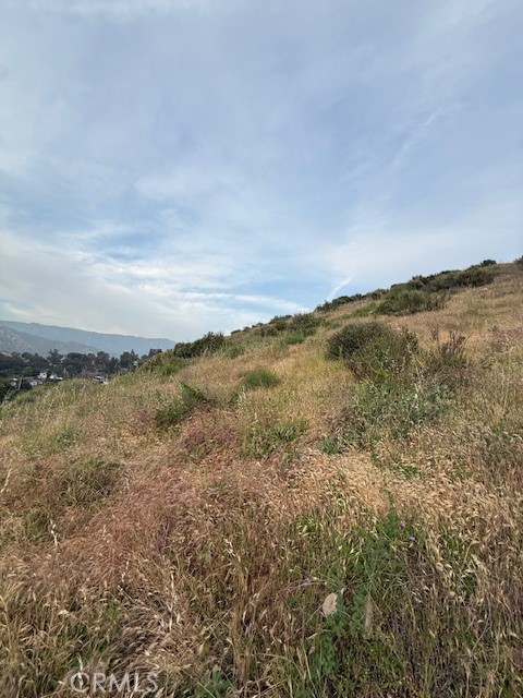 10138 Sunland Boulevard