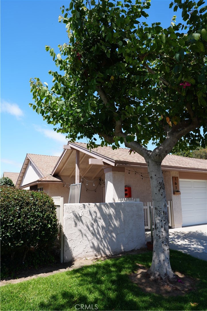 161 Ripley Street