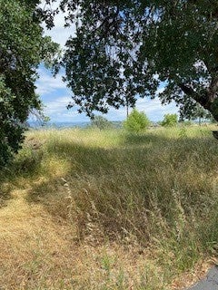 239 Eagle Nest