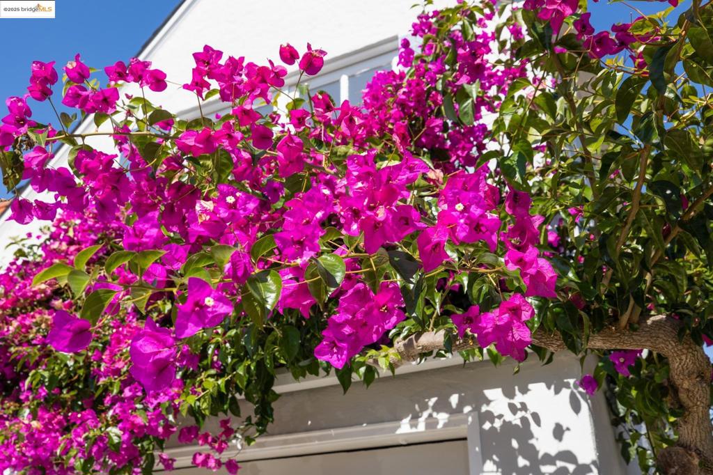 SAN PABLO PARK - Residential