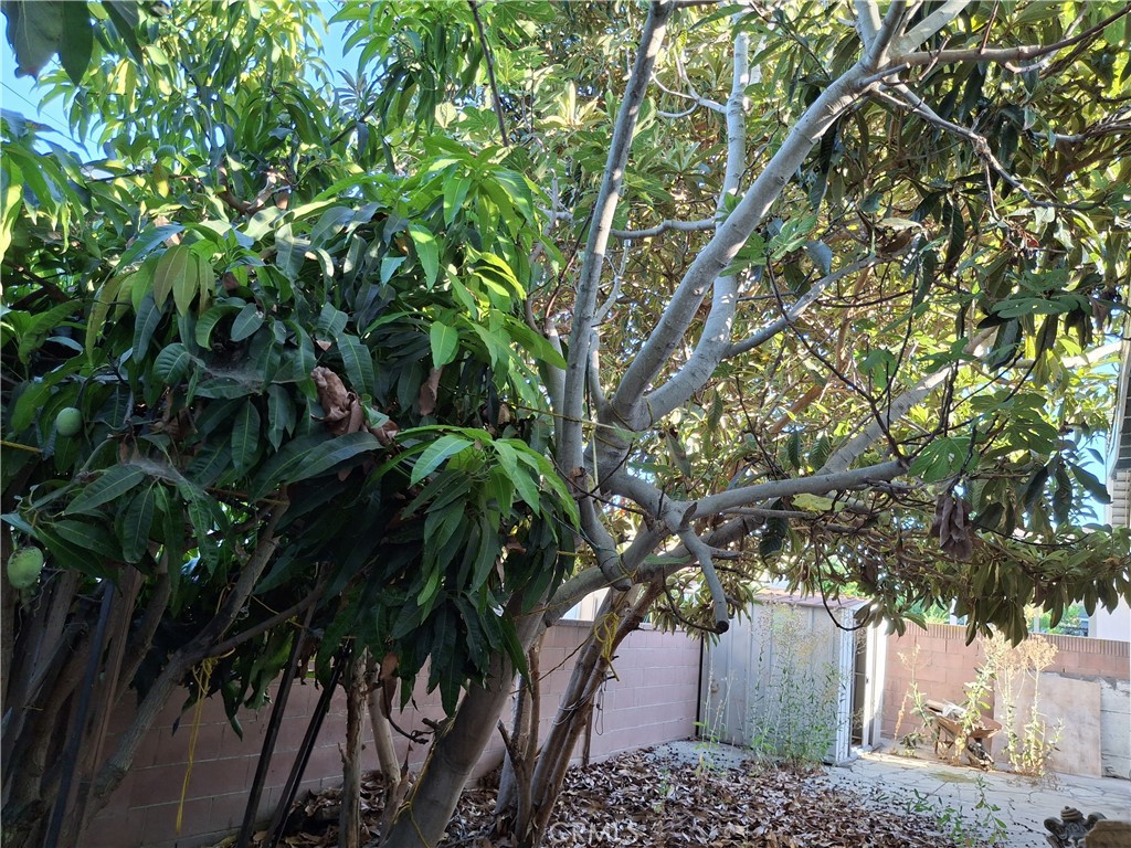Lakewood City/Lakewood (LCK) - Residential