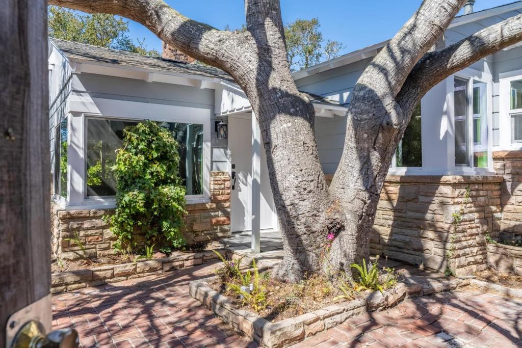 3111 Serra Avenue