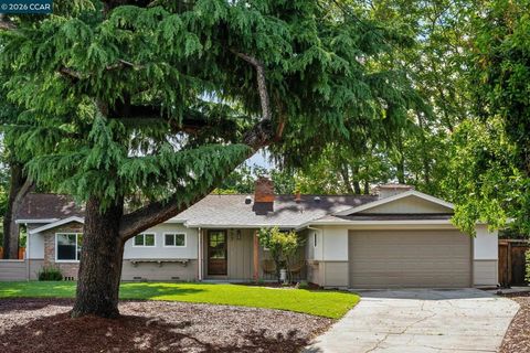 Photo of 457 Nora Court Ct, Walnut Creek, CA 94597 (MLS # 41131145)
