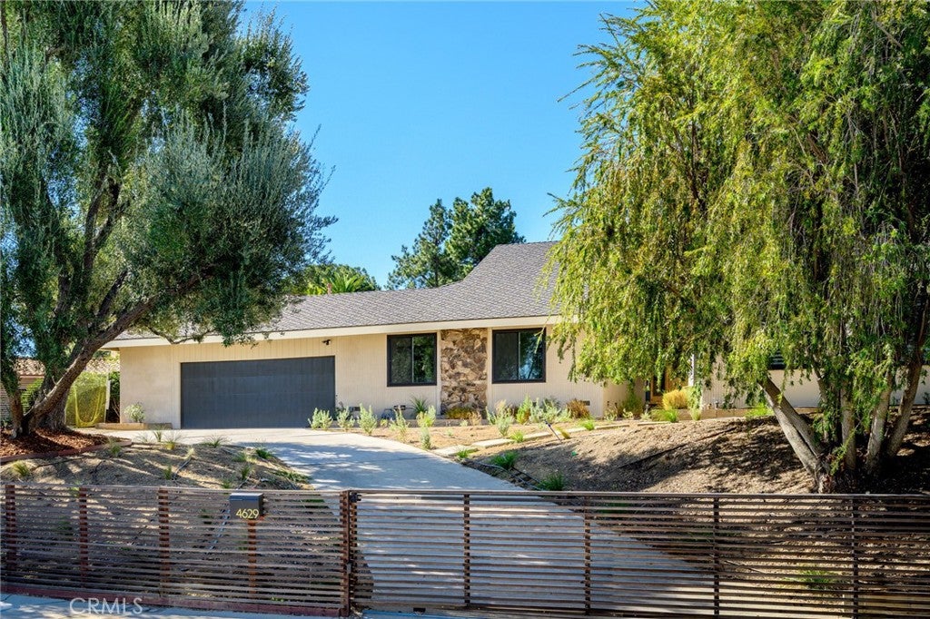 4629 Monarca