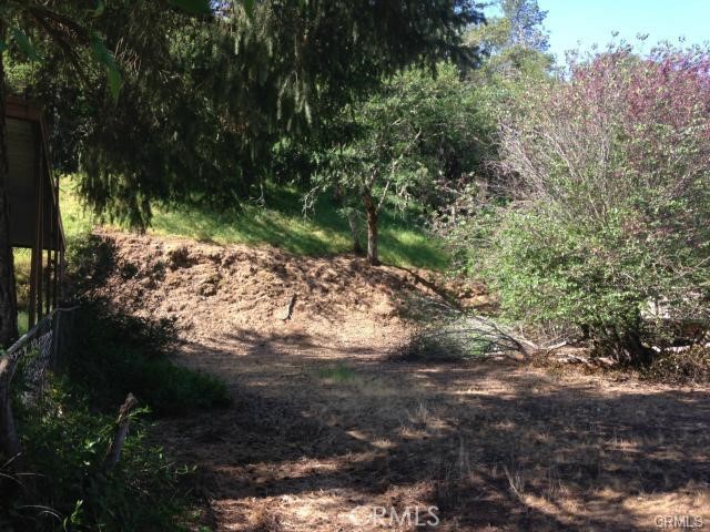 Bare Land Lot, waiting for your blueprints and idea, come build your dream home. Beautiful lot, quiet peaceful neighborhood. Paved streets, incredible deal, just minutes from shopping, post office, centrally located between Hwy 5 and 101. Just a quarter mile off the Highway 20. Mostly level lot with incredible hill views. Incredible sunsets. Priced to sell. Utilities are all available at the street for purchase