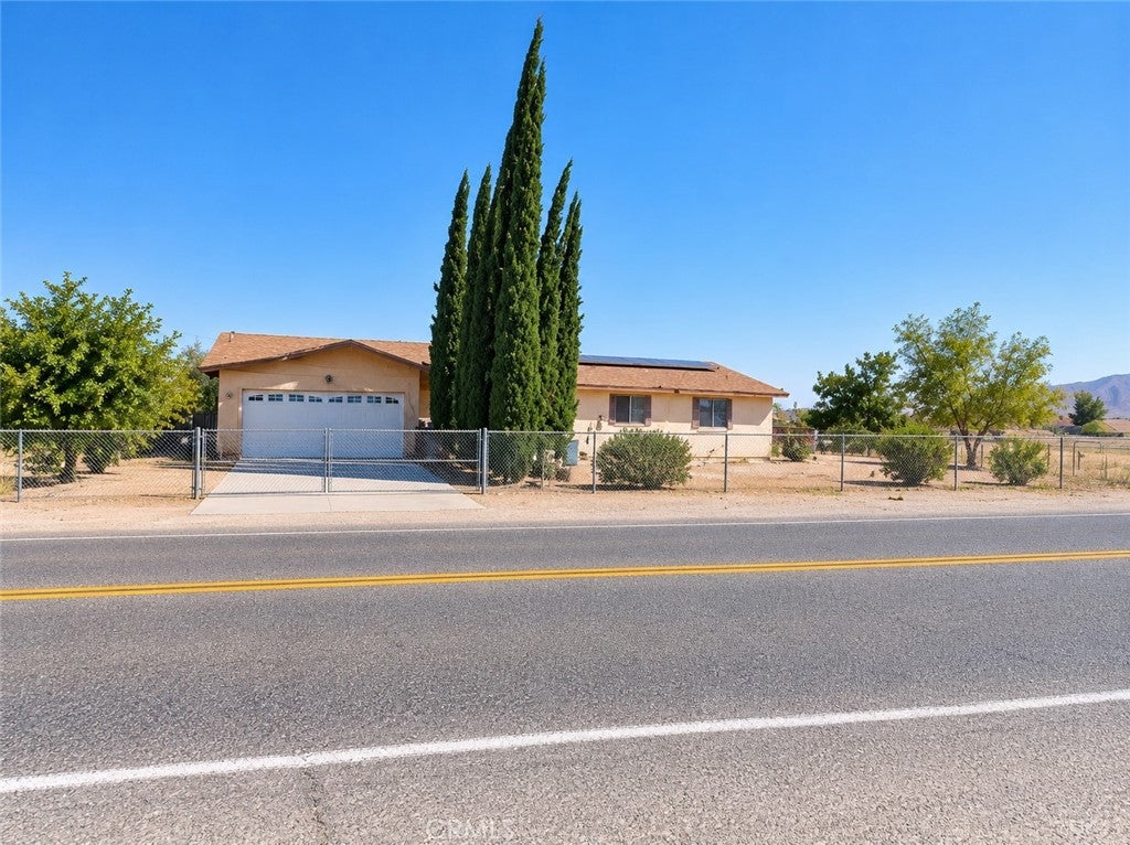 10377 Peach