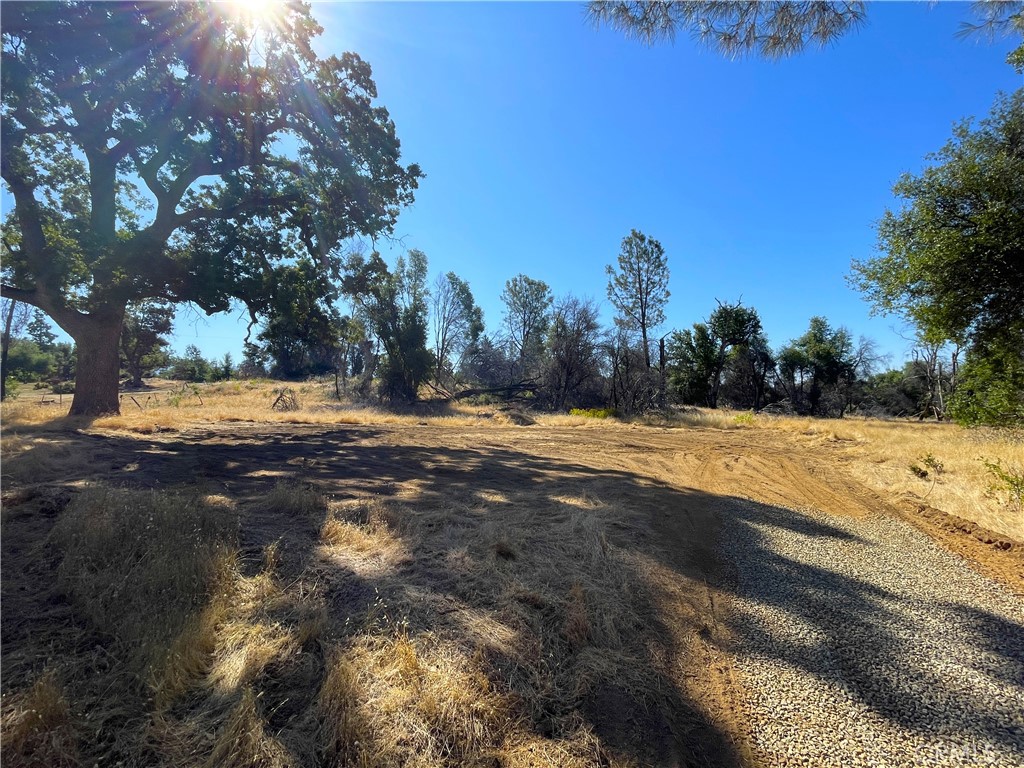 If you have looked at this property in the past, it might be worth your time to look again; The driveway had been freshly graveled & a nice area has been taken down to bare dirt to reduce fire danger when parking. Scenic Triangle Road, Close to Yosemite. 7 + Beautiful Acres of mostly Usable Land. Combination of Open Meadows & Granite Outcroppings. Heavily used Deer Trails throughout. Electric along Eastern property line. There is a Well on the property.
