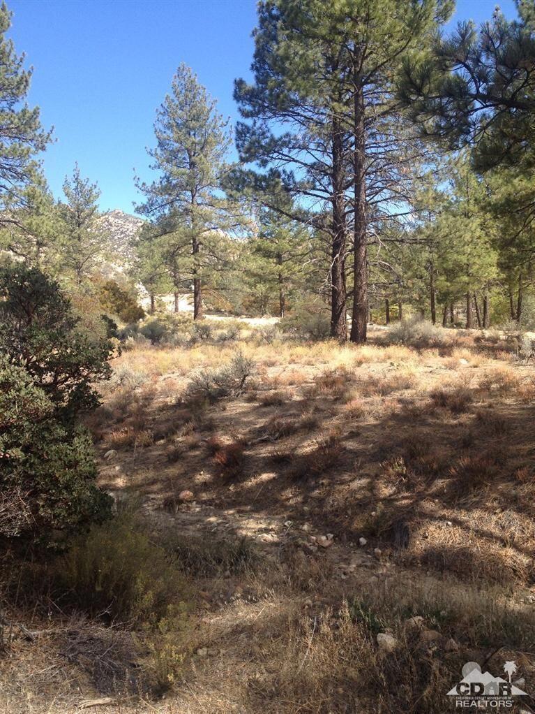 Garner Valley - Land