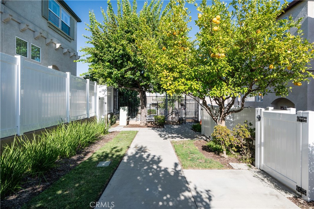 25481 Dodge Avenue 12