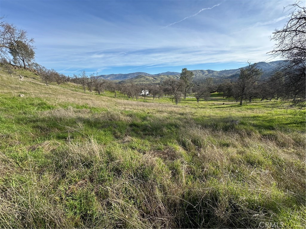 3228 Wild Rose Court