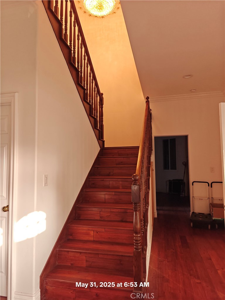 19910 Tennessee Trail