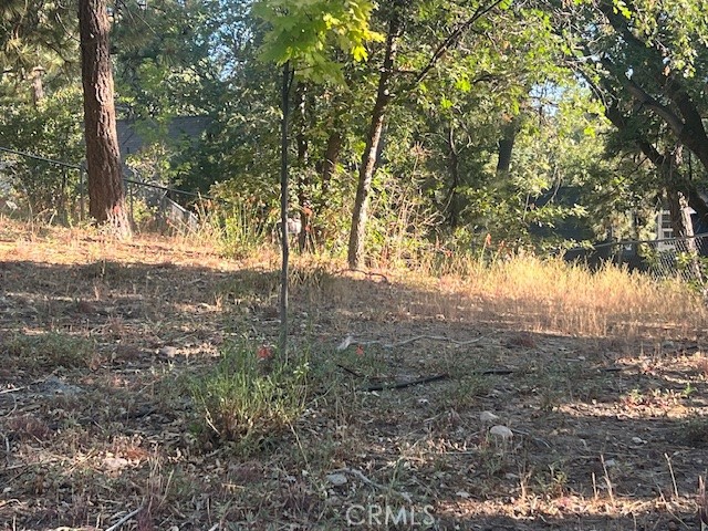 Beautiful views on this affordable lot. Close to Arrowbear Lake and Tucker Baseball Field and Park. Short drive to Snow Valley.
