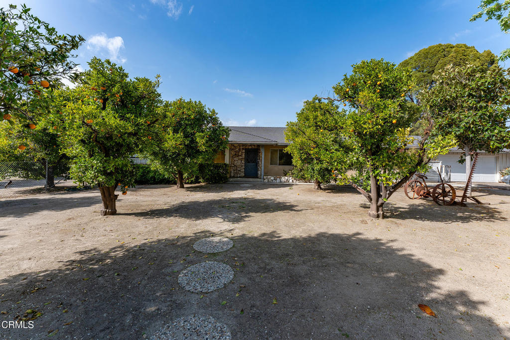 Tapo Collections-500 - Residential Income