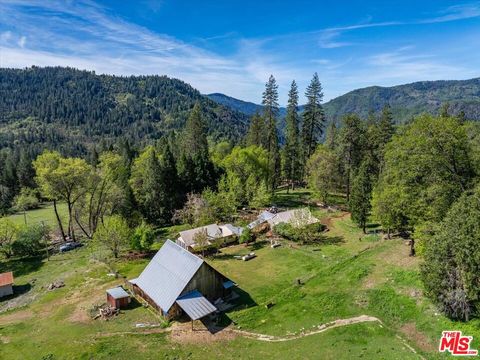 Photo of 20441 Cove Road, Montgomery Creek, CA 96065 (MLS # 26673139)