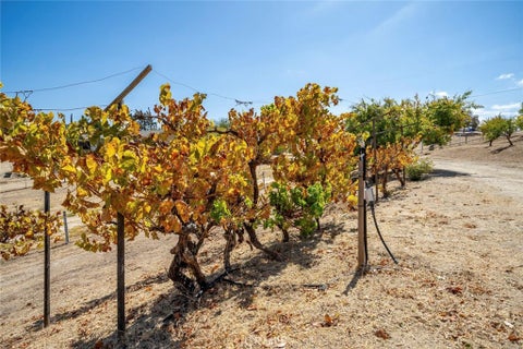 Tiny photo for 7170 Iverson PL, Paso Robles, CA 93446 (MLS # SC26205447)