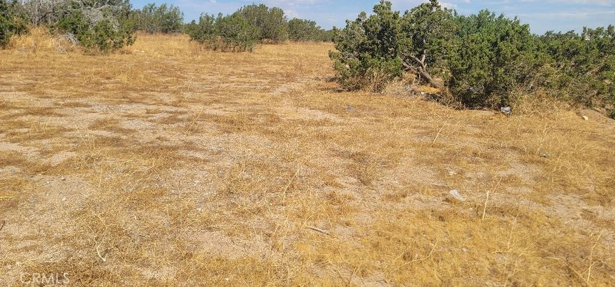 GREAT INVESTMENT IN THE HEART OF INDIO.  SPACIOUS LAND THAT CAN SUIT YOUR PROJECT. VERY CLOSE TO THE 10 FREEWAY.