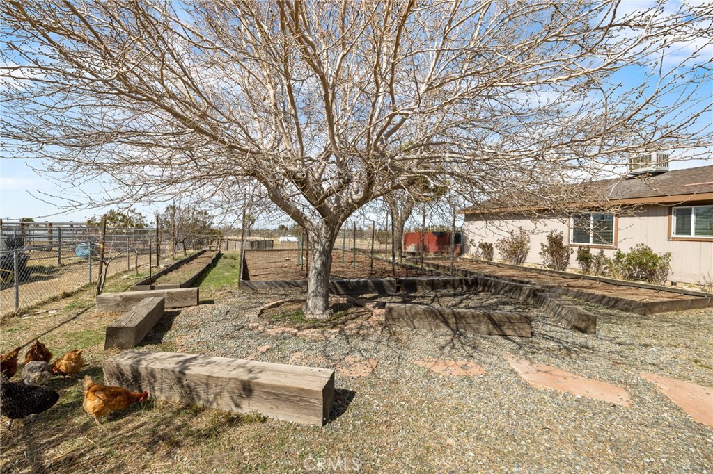 10780 Verbena Road