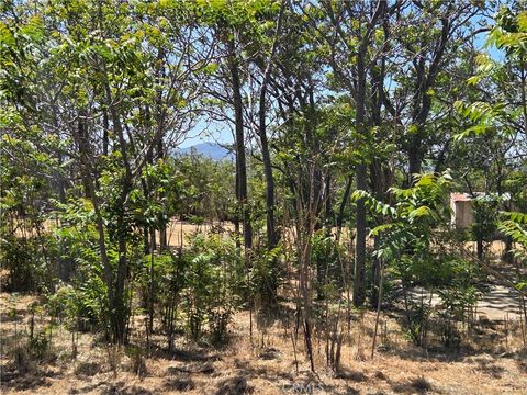 Tiny photo for 37230 Bautista Canyon Rd, Anza, CA 92539 (MLS # SW26087315)
